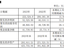 威胜信息2023年净利5.25亿同比增长31.26% 董事长李鸿薪酬70.01万