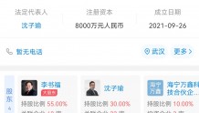 吉利手机制造公司已完成工商注册 李书福为第一大股东持股55%