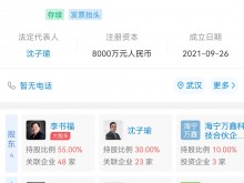 吉利手机制造公司已完成工商注册 李书福为第一大股东持股55%