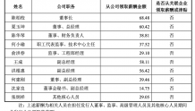 国泰环保拟IPO：董事长陈柏校2020年薪酬为68.48万元