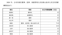 中巨芯拟IPO 总经理陈刚2020年薪酬为71.0万元