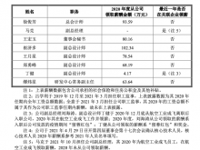 无人机拟IPO：董事长蒋敏2020年领取薪酬为0万元