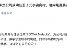 数字政通：已取得元宇宙相关商标注册证书“EGOVA Metacity”