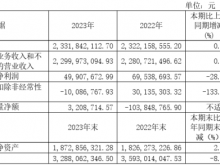 大恒科技2023年净利4990.77万同比下滑28.23% 董事长鲁勇志薪酬229.21万