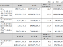 共进股份2023年营收85.3亿净利6471.61万 董事长胡祖敏薪酬210.39万