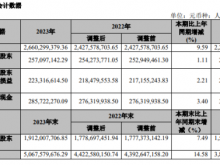 国检集团2023年营收26.6亿净利2.57亿 董事长朱连滨薪酬173.25万