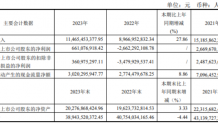 彩虹股份2023年净利6.61亿同比扭亏为盈 董事长李淼薪酬117.62万