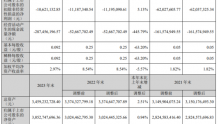 海南高速2023年净利9050.68万同比下滑63.82% 总经理崔家炳薪酬43万