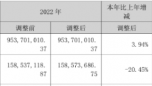 源飞宠物2023年营收9.91亿净利1.26亿 董事长庄明允薪酬65万