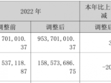 源飞宠物2023年营收9.91亿净利1.26亿 董事长庄明允薪酬65万