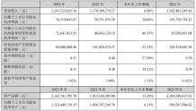 胜蓝股份2023年营收12.41亿净利7651.9万 董事长黄雪林薪酬58.74万