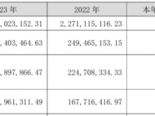赛意信息2023年营收22.54亿净利2.54亿 董事长张成康薪酬71.2万