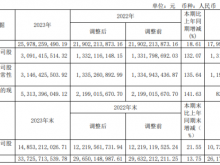 赛轮轮胎2023年营收259.78亿净利30.91亿 董事长刘燕华薪酬181.29万
