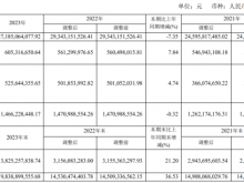 龙旗科技2023年营收271.85亿净利6.05亿 董事长杜军红薪酬101.54万